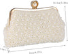 Faux Pearl Evening Clutch Purse